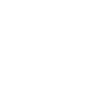 Tribeca Film Festival
