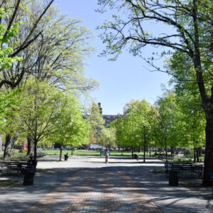 Marcus Garvey Park