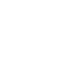 New York State Council on the Arts