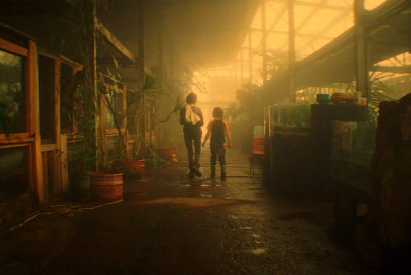 Farm-to-Screen Shorts 2026