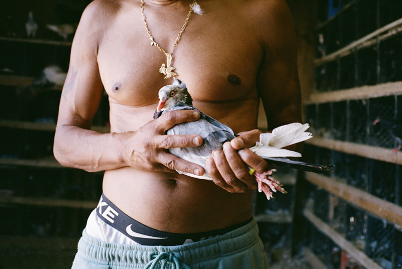 Pigeon Religion